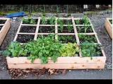 Benefit Of Raised Bed Vegetable Garden Pictures