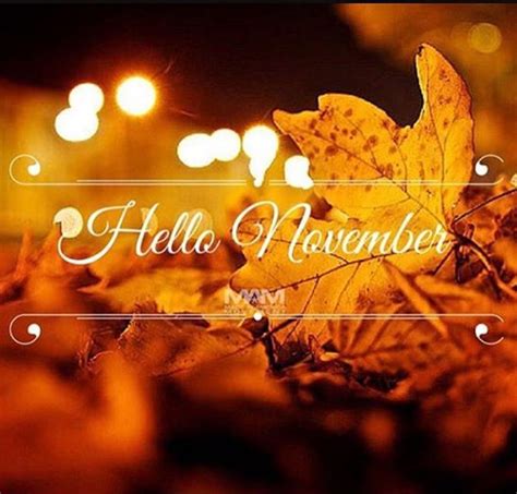 Welcome🍁🍂🦃 Hello November Welcome November Hello October