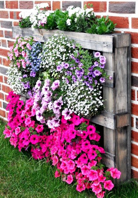 244 Best Flower Garden Ideas Images On Pinterest 2018