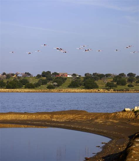 Property listings direct from owners and real estate agents on idealista, the leading real estate marketplace in portugal. Sapal de Castro Marim and Vila Real de Santo António Natural