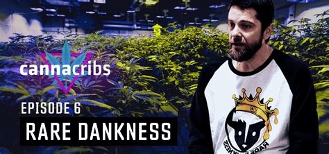 Canna Cribs Ep 6 Features Denvers Rare Dankness And House Of Dankness