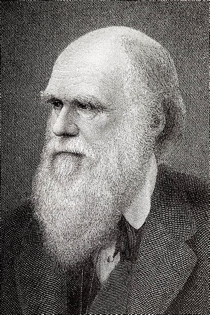 Charles Darwin Illustrations Royalty Free Vector Graphics And Clip Art