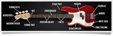 Adjustment at neck joint (phillips screwdriver): Best Left Handed Bass Guitars For Beginner Players