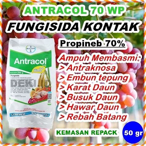 Jual Fungisida Kontak Antracol Wp Plus Zinc Gr Kemasan Repack Obat