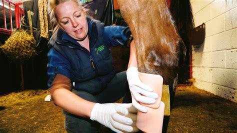 Equine First Aid Kit What You Need To Include Horse And Hound