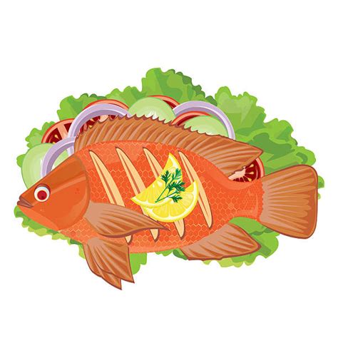 Tilapia Clip Art Vector Images And Illustrations Istock