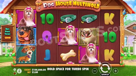 The Dog House Multihold Pragmatic Play Slot Review 💎aboutslots