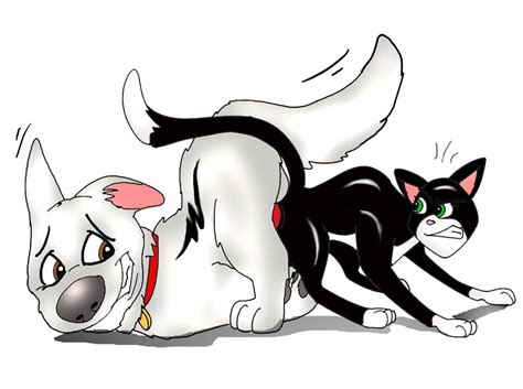 Rule 34 Bolt Bolt Film Canine Cat Disney Dog Feline