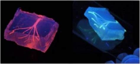 3d Bioprinting Improved Artificial Blood Vessels Laptrinhx