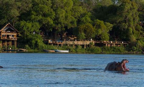 Top 5 Fascinating Facts About The Zambezi River Memorable Journeys