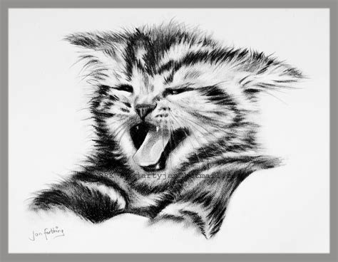Crazy Kitten Drawing By Rayvenjan On Deviantart