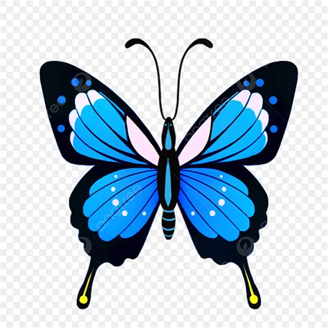 Top Butterfly Cartoon Images Amazing Collection Butterfly Cartoon Images Full K