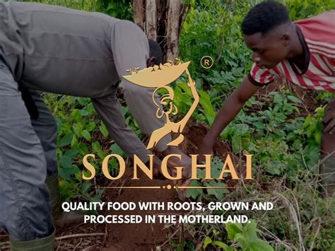 Songhai A High Quality Natural African Food Producer Rise Fundngo