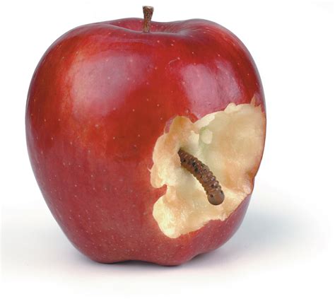 Bad Rap Blog The Housing Shortage Bad Apples Are Tripping You Up