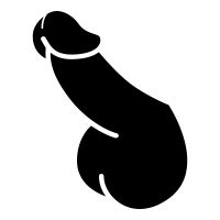 Cartoon Penis Png Png Image Collection