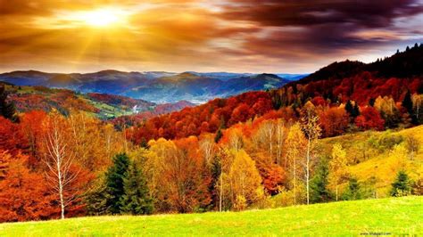 🔥 Free Download Autumn Wallpapers Hd 1366x768 For Your Desktop Mobile And Tablet Explore 72