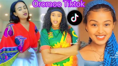 Sirbaa Afaan Oromo Music Haraa2023 Youtube