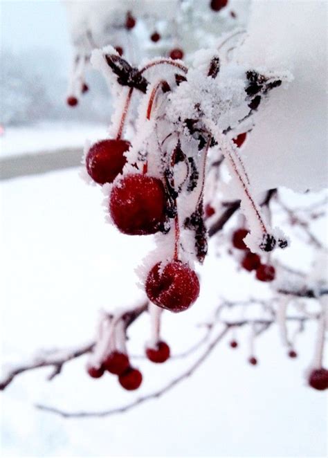 25 Times Snow Transformed Nebraska Into The Most Beautiful Scenery