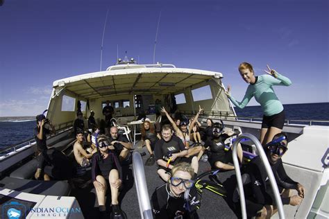 Guide To Visiting Ningaloo Reef In Western Australia Drink Tea And Travel