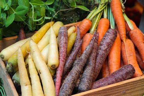 Colourful Carrots Stock Photo Download Image Now Istock