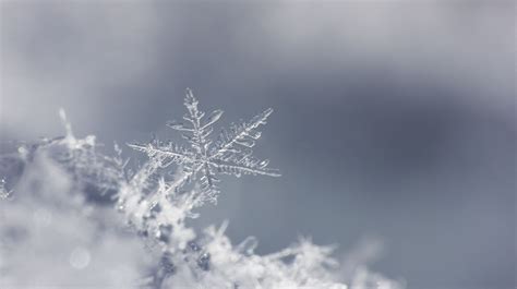 Is It True That No Two Snowflakes Are Alike Mental Floss