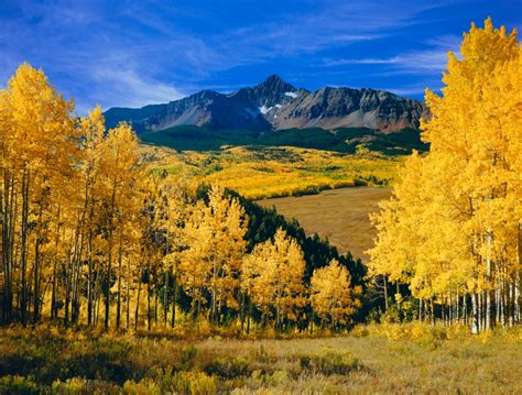 Leaf Peeping Guide Where To See Best Fall Colors In Colorado Fox31