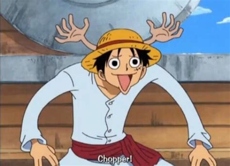 One Piece Luffy Love Interest