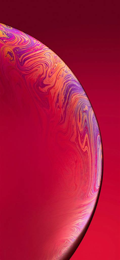 50 Best High Quality Iphone Xr Wallpapers And Backgrounds Designbolts
