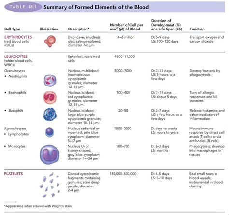 Allows diffusion of gases and nutrients from blood into the body cells. 17 Best images about phlebotomy on Pinterest | Respiratory system, Blood types and Charts