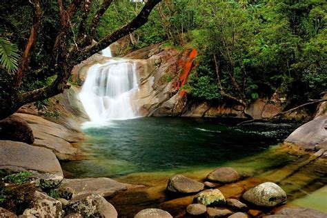 Josephine Falls Australia Beautiful Places Around The Worlds