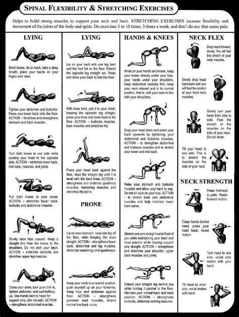 Printable Stretching Exercises For Seniors Web Mindfulstretching Guide