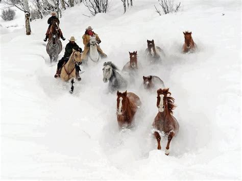 315 Best Beautiful Winter Scenes ~ Images On Pinterest