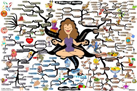 5 Pillars Of Health Mind Map By Adam Sicinski Mind Map Art Mind Map