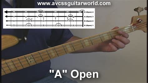 Free Bass Guitar Lessons Here Avcss Guitar World