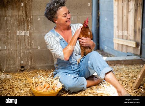 Smiling Mature Farmer Stroking Hen In Chicken Coop Stock Photo Alamy