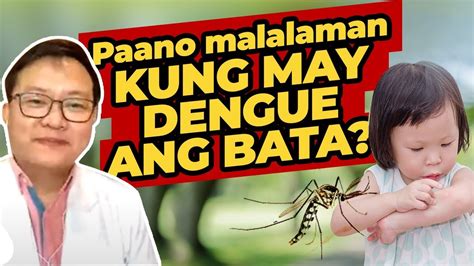 Paano Malalaman Kung May Dengue Ang Bata Sagot Ka Ni Dok Youtube