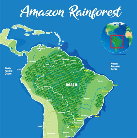 Amazon Rainforest Outline Map