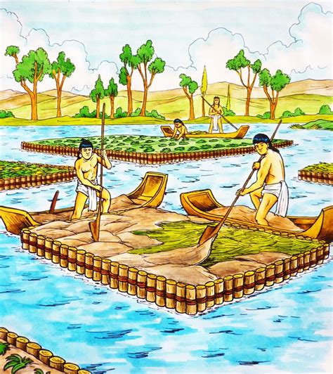 Imagen Articulo Chinampa Artificial Island Floating Garden Permaculture Design Course