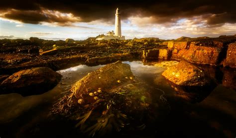 Free Stock Photo Of Seascape St Marys Lighthouse