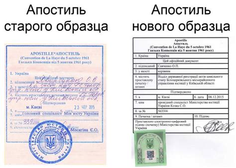 electronic apostille in ukraine pluses and minuses difficulties of registration of a new