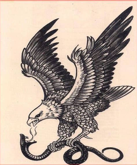 Vintage Eagle And Snake Snake Tattoo Design Eagle Tattoos Black Tattoos
