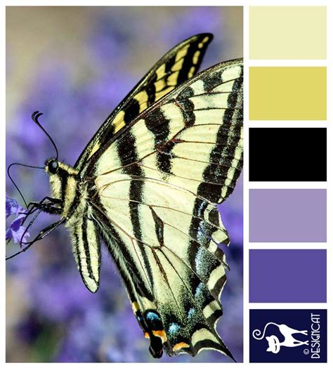 Butterfly Wings Cream Butter Black Lilac Purple Indigo Designcat