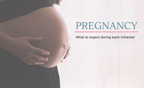 Essential Guide What To Expect During Each Trimester Of Your Pregnancy Wollongong Obstetrics