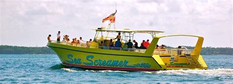 Sea Screamer Dolphin Cruise Coupons Tickets From 20