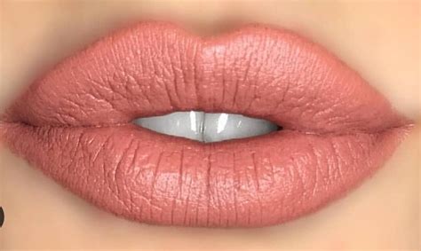 Soft Coral Lipstick Focus Beauty And Style