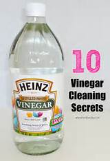 Images of Carpet Steam Cleaner Vinegar