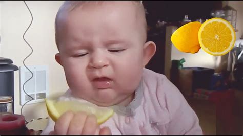 Babies Eating Lemons For The First Time Compilation Video