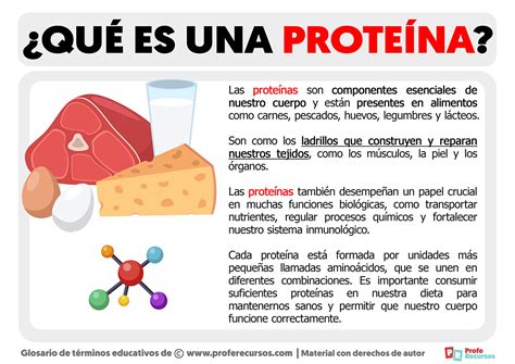 Que Es Una Proteína Definición De Proteína