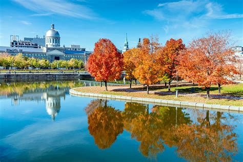 Montréal is enchantingly moody as autumn turns to winter - Lonely Planet