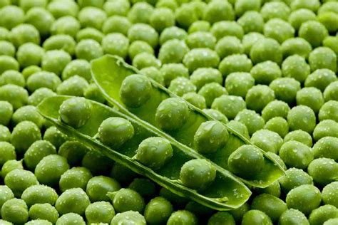 They have no effect on the blood. Can Dogs Eat Peas? And Are Peas Good For Dogs? - Ultimate ...